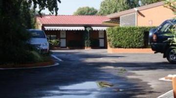7motel - Settimotel Hotel